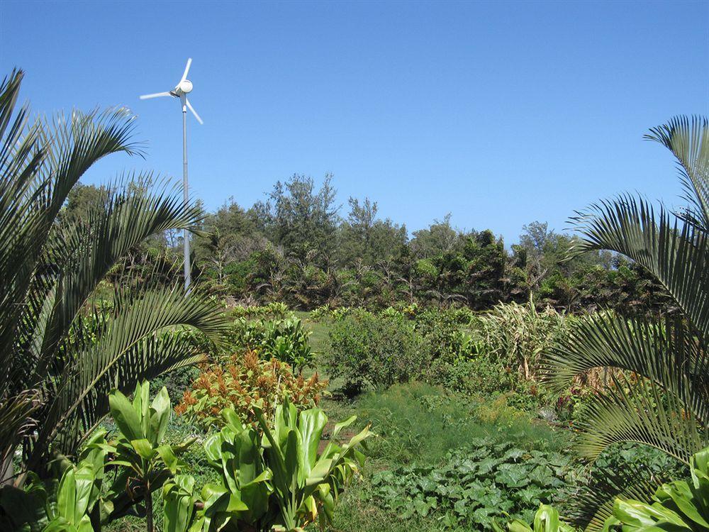 Villa Hawaii Island Retreat At Ahu Pohaku Ho'Omaluhia Kapaau Esterno foto