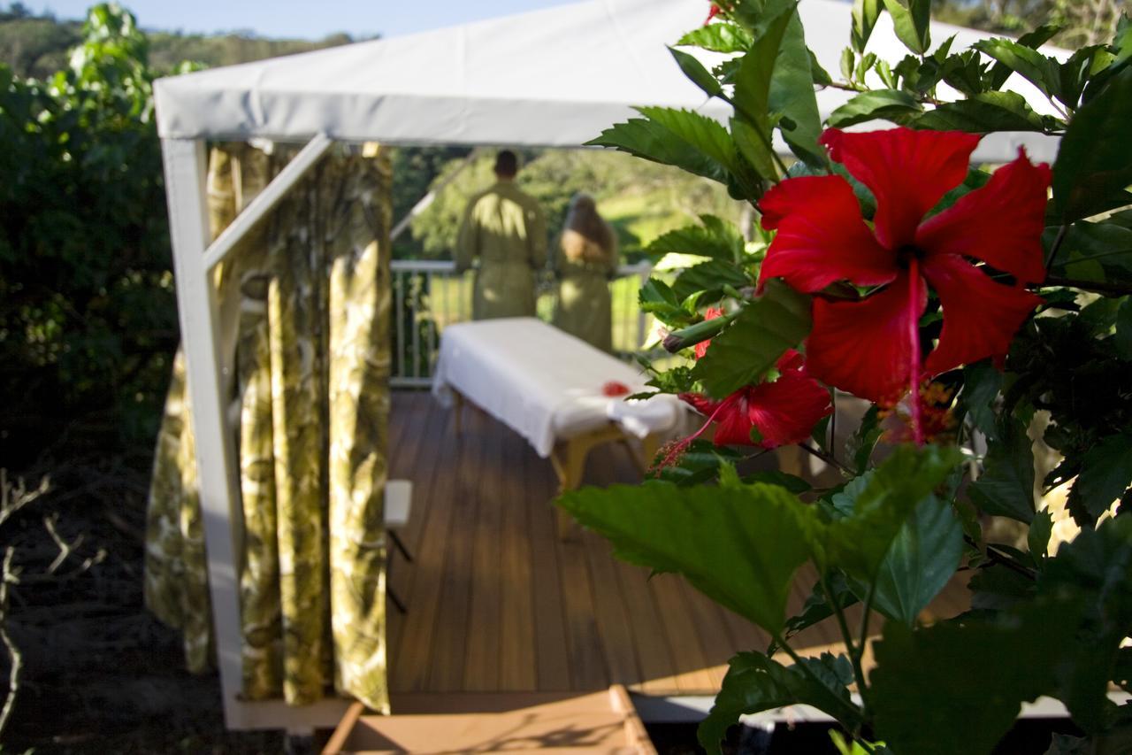 Villa Hawaii Island Retreat At Ahu Pohaku Ho'Omaluhia Kapaau Esterno foto