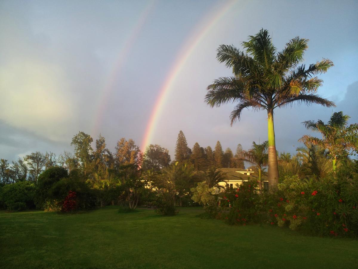 Villa Hawaii Island Retreat At Ahu Pohaku Ho'Omaluhia Kapaau Esterno foto