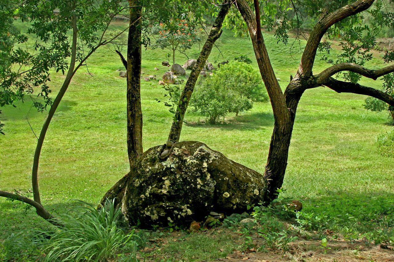 Villa Hawaii Island Retreat At Ahu Pohaku Ho'Omaluhia Kapaau Esterno foto