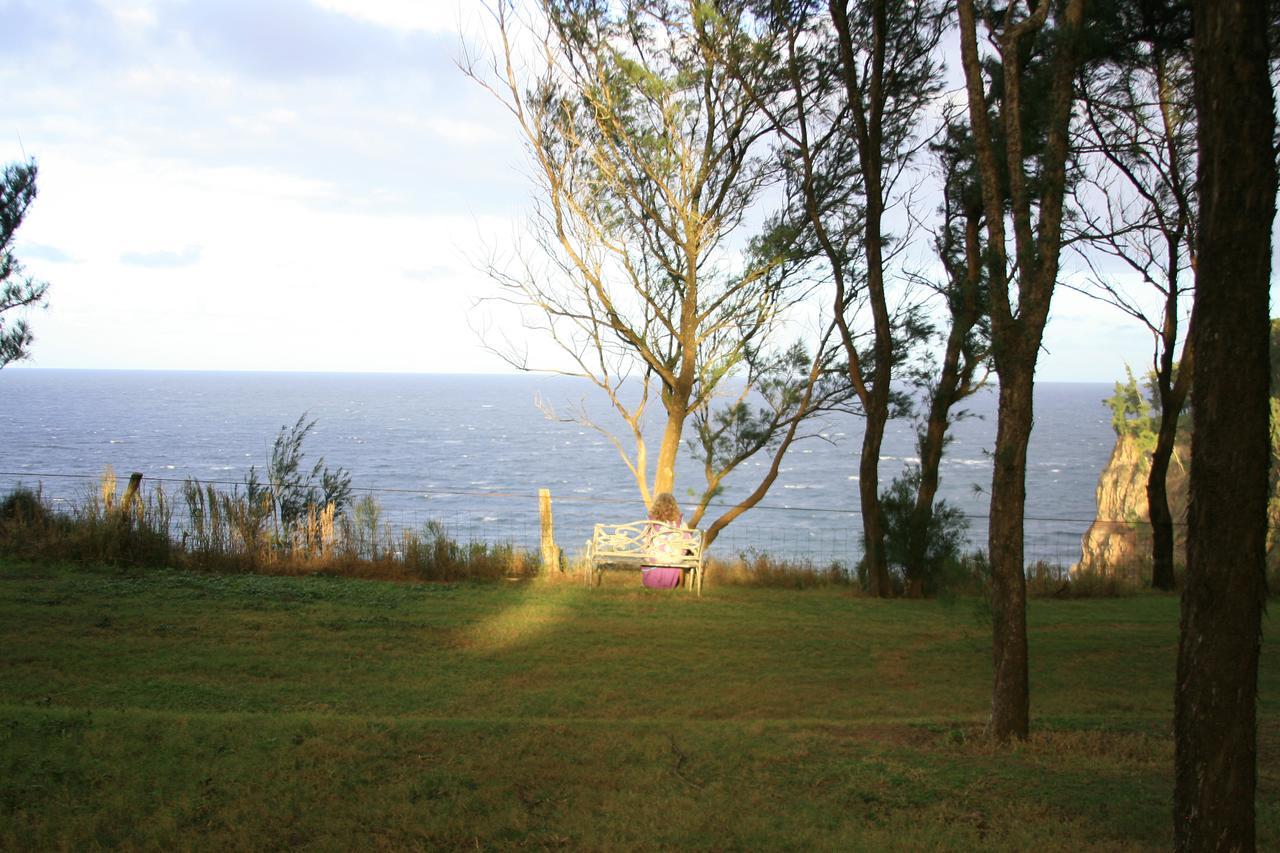 Villa Hawaii Island Retreat At Ahu Pohaku Ho'Omaluhia Kapaau Esterno foto