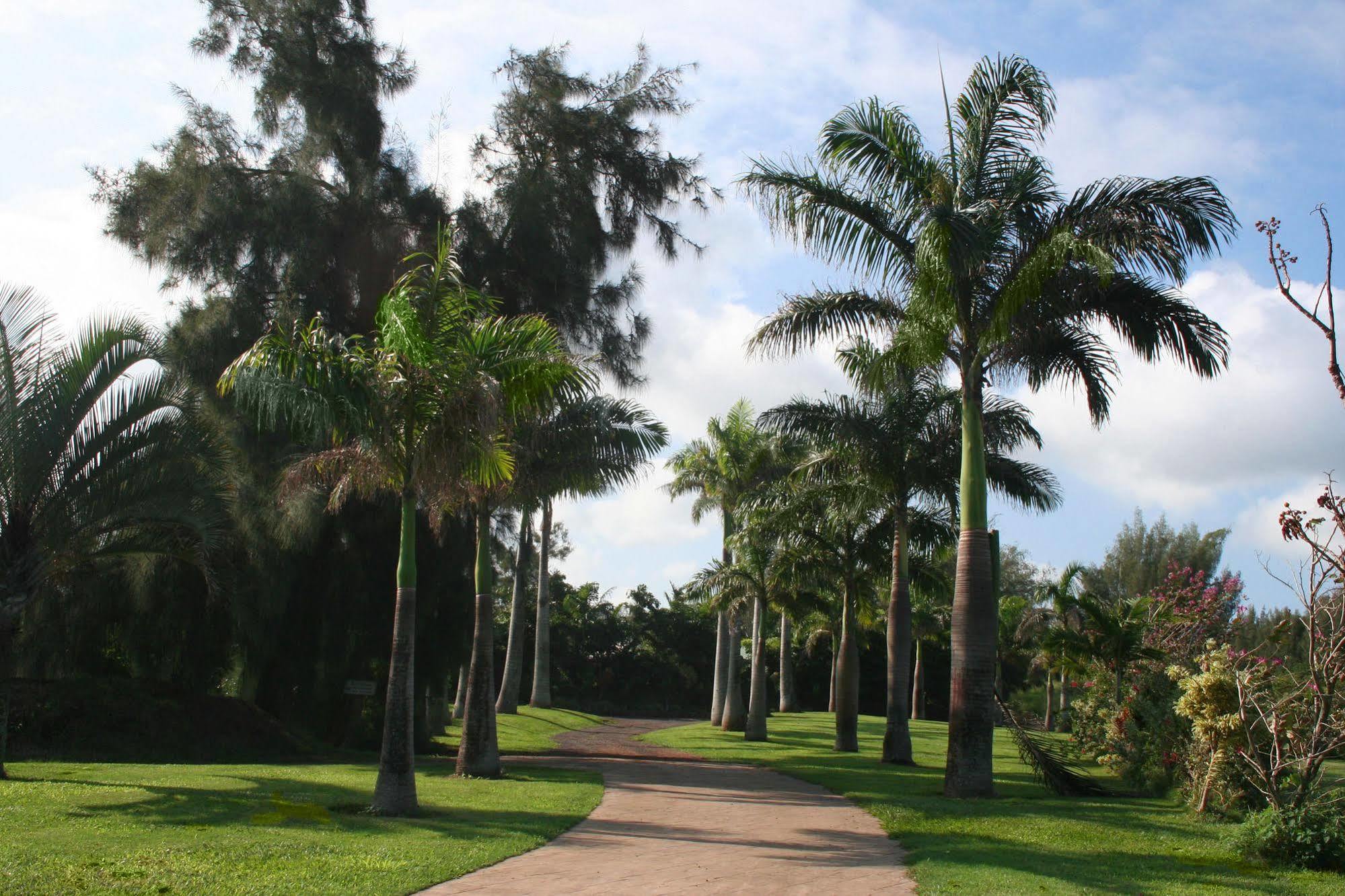 Villa Hawaii Island Retreat At Ahu Pohaku Ho'Omaluhia Kapaau Esterno foto